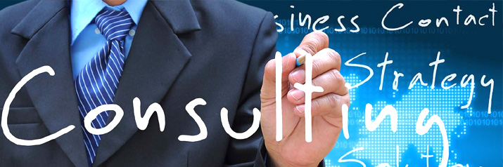 Consulting